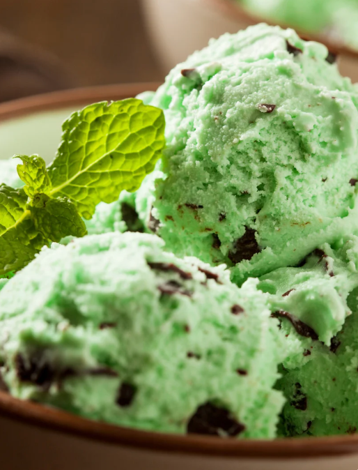 Mint Chocolate Ice Cream