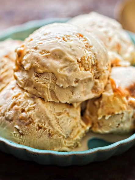 Salted Caramel Pretzel Ice Cream