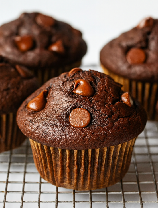 Double Chocolate Muffins 